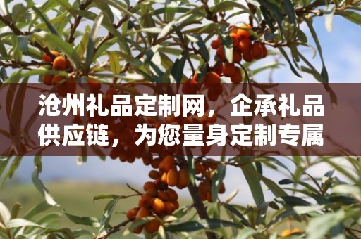 沧州礼品定制网，企承礼品供应链，为您量身定制专属礼品